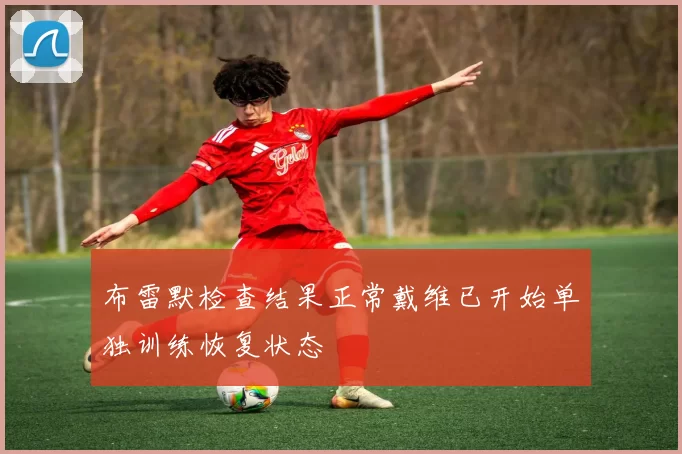 布雷默检查结果正常戴维已开始单独训练恢复状态