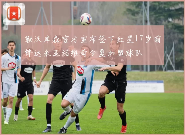 勒沃库森官方宣布签下红星17岁前锋达米亚诺维奇今夏加盟球队